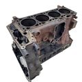 FIAT Ducato 3 generation (2006-2024) Блок двигателя 502295008,F1C 30358407