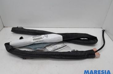 PEUGEOT 3008 1 generation (2010-2016) Right Side Roof Airbag SRS 9684667780,8335WP 27759428