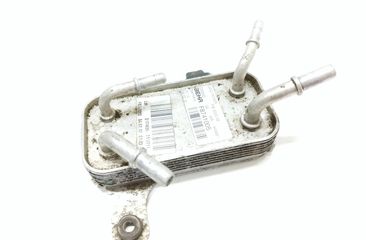 LAND ROVER Range Rover Sport 1 generation (2005-2013) Degvielas dzesētājs (radiators) F8741005 27816526