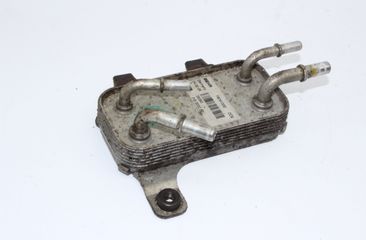 LAND ROVER Range Rover Sport 1 generation (2005-2013) Degvielas dzesētājs (radiators) F8741002 17876251