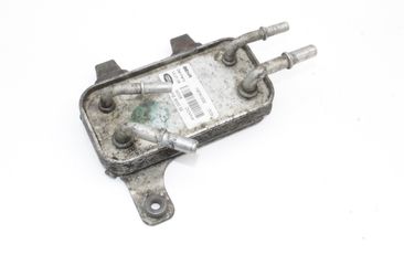 LAND ROVER Range Rover Sport 1 generation (2005-2013) Degvielas dzesētājs (radiators) F8741002 29912533