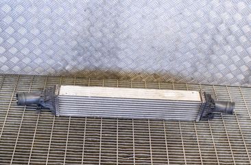 AUDI Q5 8R (2008-2017) Starpdzesētāja/interkūlera radiators L3133 11177269