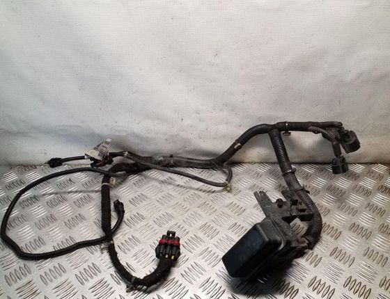 OPEL Insignia A (2008-2016) Жгут проводов 13265980,23456933 32149678