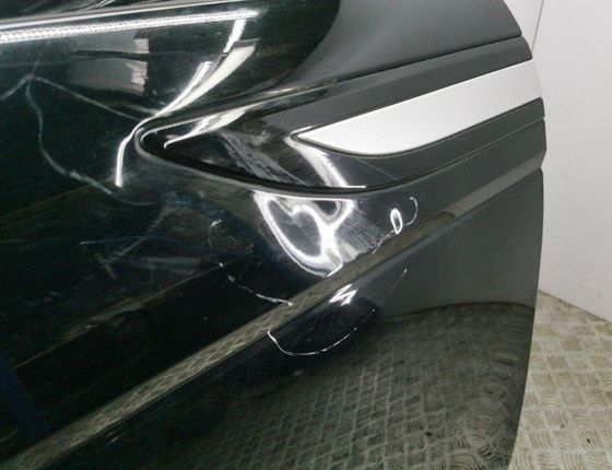LAND ROVER Range Rover Evoque L538 (1 gen) (2011-2020) Front Right Door 31031536