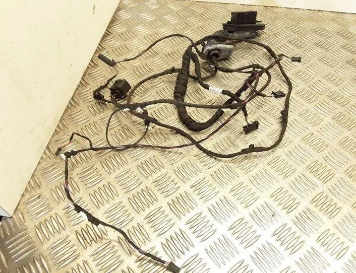 BMW 5 Series F10/F11 (2009-2017) Дверные кабели задние  правые 1756705,9291064 20673868