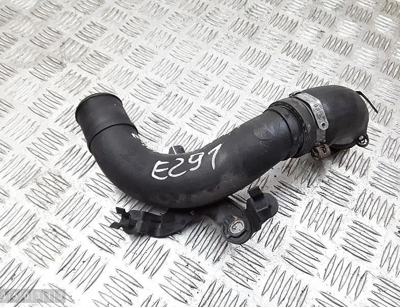 DACIA Logan 2 generation (2013-2020) Другие шланги 6670971a 28650177