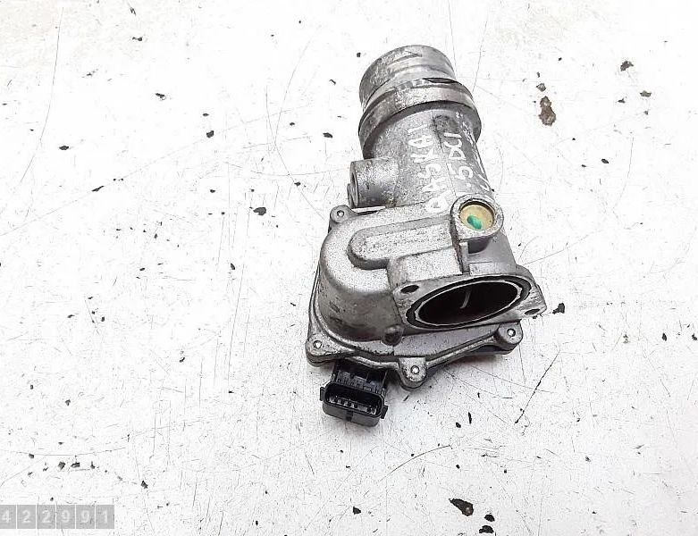 NISSAN Qashqai 2 generation (2013-2023) Droseļvārsts 161a09794r 28652402