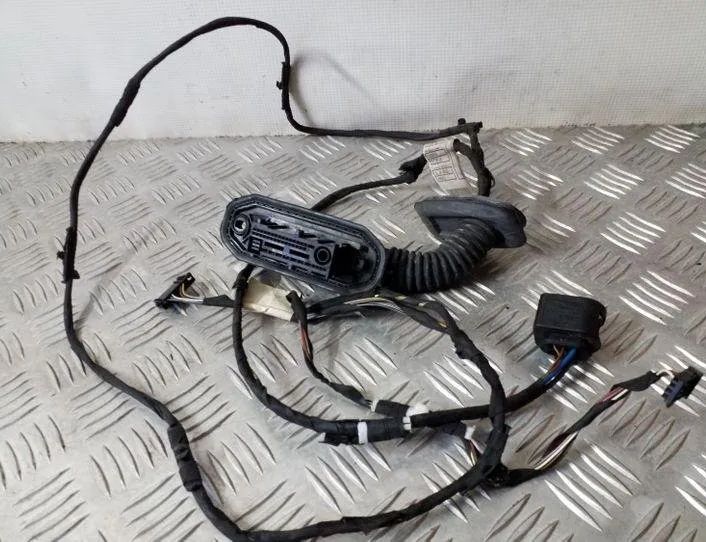 BMW 5 Series F10/F11 (2009-2017) Rear Right Door Wiring 9256017,9256016,4192634 25140539