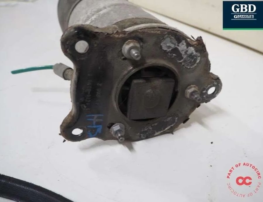 TESLA Model S 1 generation (2012-2024) Pneimatiskais / gaisa spilvens 6006352-00-c,6006353-00-c,6006353-00-d 30878373