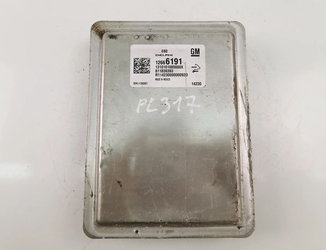 OPEL Corsa D (2006-2020) Motora vadības bloks 12666191 20295482