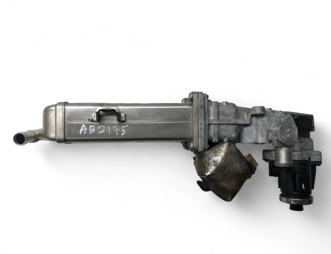 VOLKSWAGEN Tiguan 1 generation (2007-2017) Охладитель Eгр 709720000 31596893