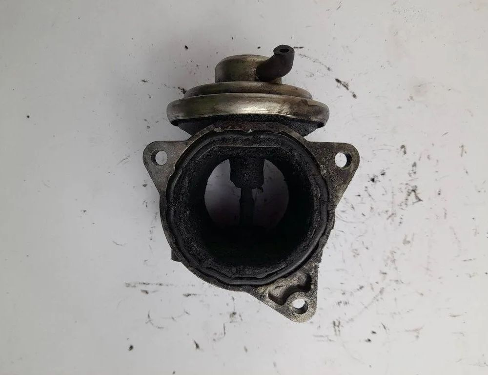 VOLKSWAGEN Passat B6 (2005-2010) EGR vārsts 038131501AN 31942313