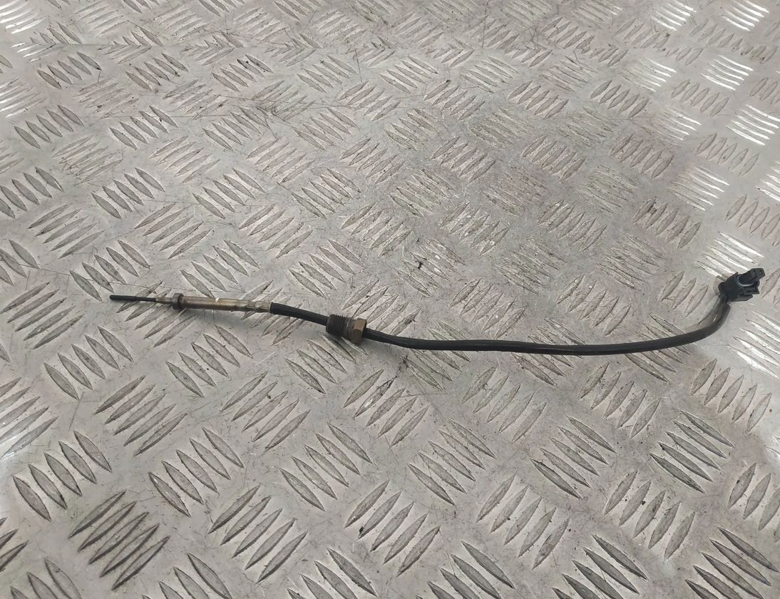 BMW 5 Series F10/F11 (2009-2017) Izplūdes gāzu temperatūras sensors 7543312 13869617