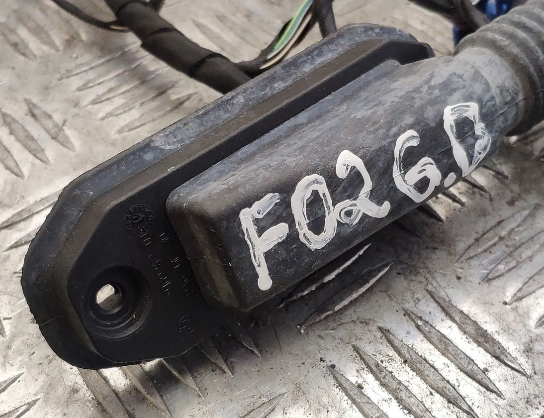 BMW 7 Series F01/F02 (2008-2015) Aizmugurējo labo durvju elektroinstalācija 9234360,9147281 15369742