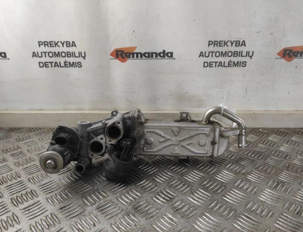VOLKSWAGEN Tiguan 1 generation (2007-2017) EGR Cooler 03L131512BB 31570335