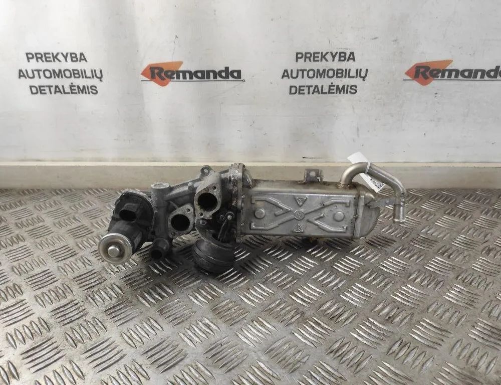 VOLKSWAGEN Passat CC 1 generation (2008-2017) EGR Cooler 03L131512BB 31591463