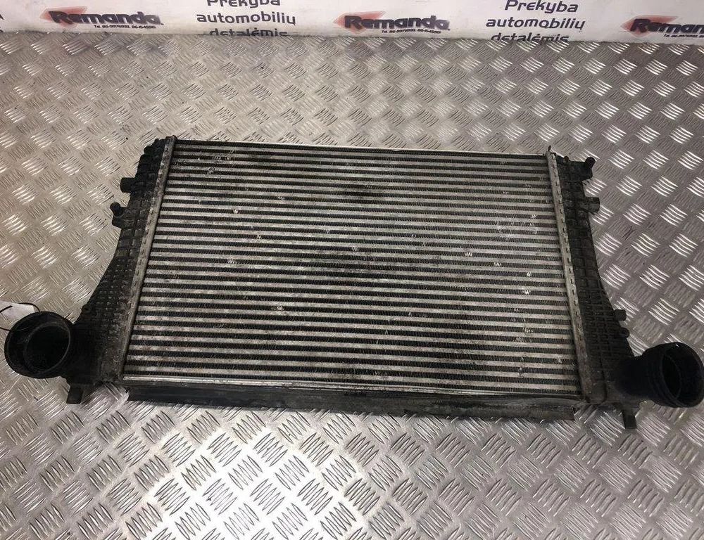 VOLKSWAGEN Golf 5 generation (2003-2009) Starpdzesētāja/interkūlera radiators 1K0145803T 31605734