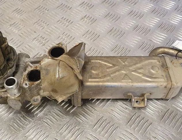 VOLKSWAGEN Passat B6 (2005-2010) EGR dzesētājs 03L131512C 31612226