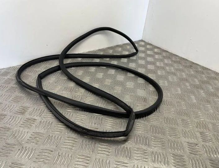 BMW 5 Series G30/G31 (2016-2023) Резиновая прокладка передней правой двери 7387590 21450152