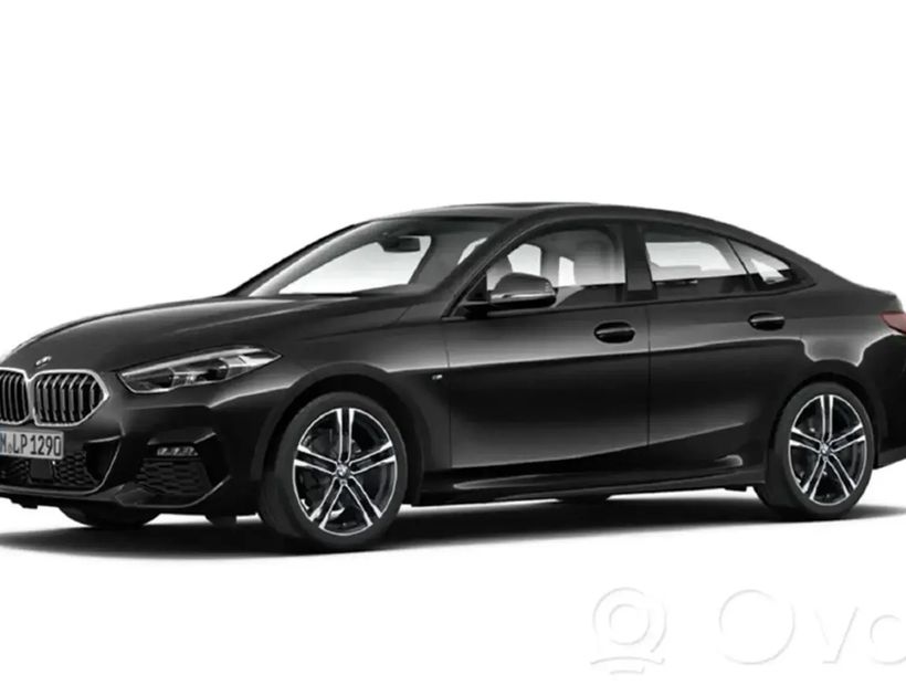 BMW 2 Series F44 (2019-2023) Subwoofer 9275995 30187351