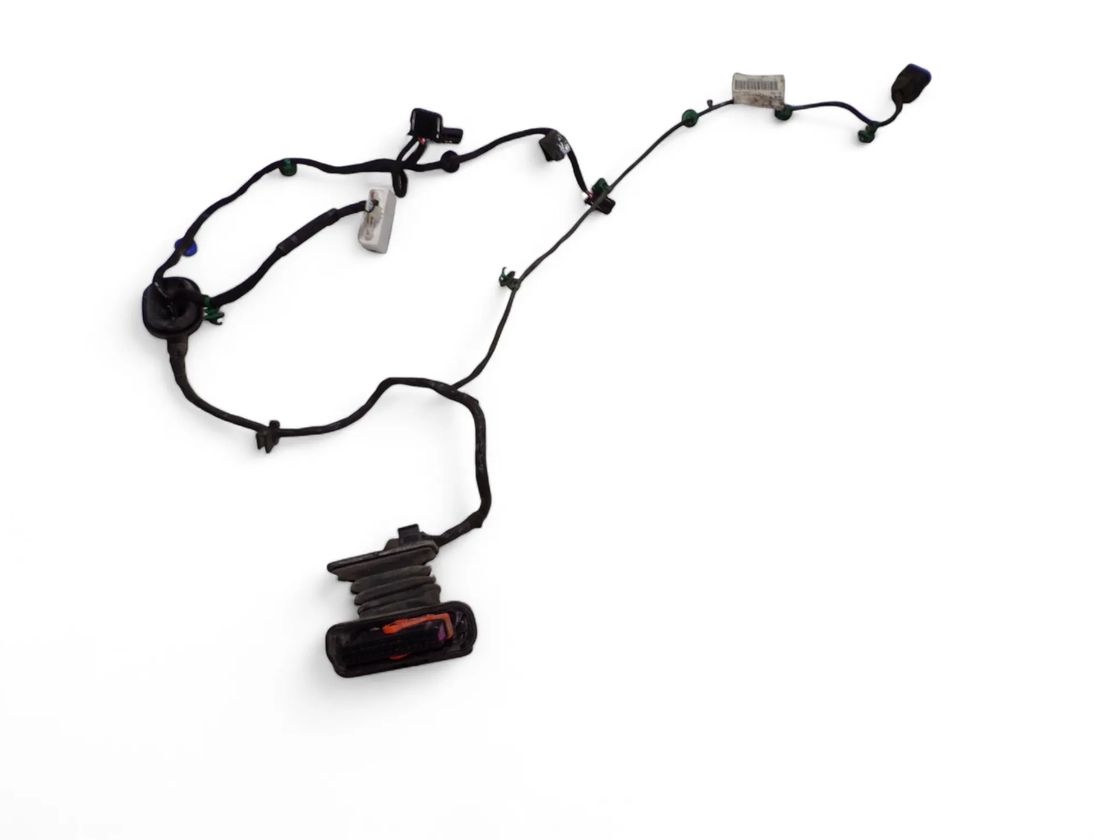 VOLKSWAGEN Golf 5 generation (2003-2009) Rear Left Door Wiring 1K4971639AA 28056194