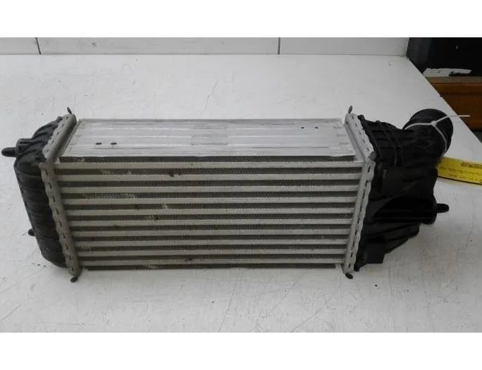 OPEL Starpdzesētāja/interkūlera radiators 9803900780 14599201