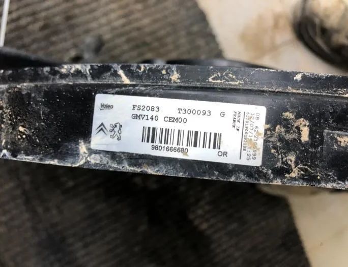 PEUGEOT 2008 2 generation (2019-2023) Citau veidu vadības bloki 9801666680 32743437