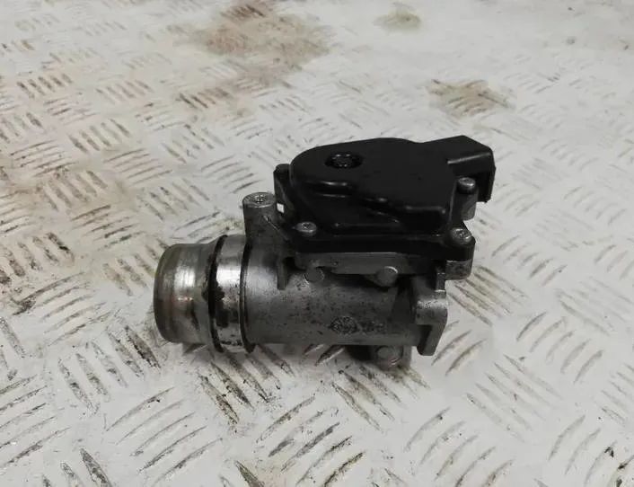 MERCEDES-BENZ B-Class W246 (2011-2020) Droseļvārsts 161A09287R 27901725