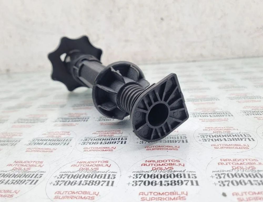 SEAT Exeo 1 generation (2009-2012) Rezerves ritenis 8E9803899A 31444783