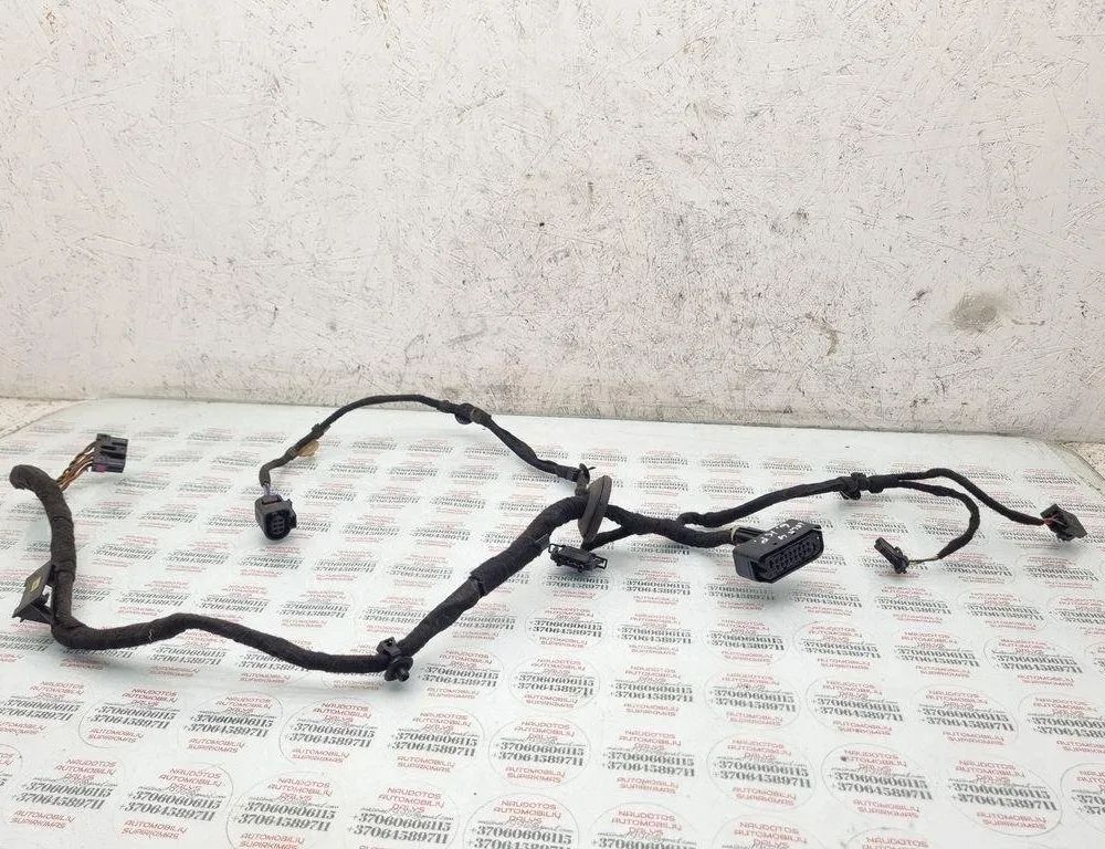 VOLKSWAGEN Golf 5 generation (2003-2009) Rear Left Door Wiring 1J0959383C 31455813