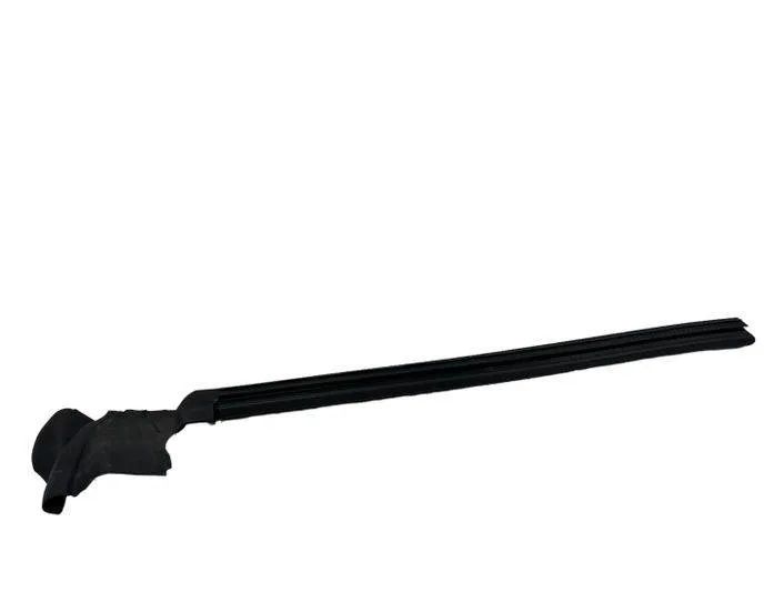 PEUGEOT 3 Series E90/E91/E92/E93 (2004-2013) Priekšējo kreiso durvju gumija 9813391580,981339148002,DA1189 24747091