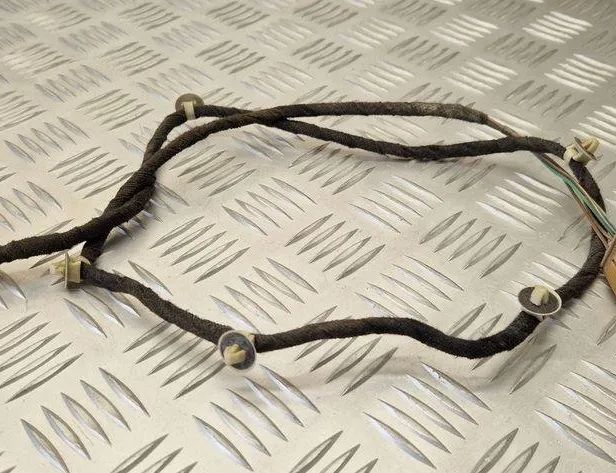 SKODA Fabia 1 generation  (2004-2007) Aizmugurējo labo durvju elektroinstalācija 1J0973713 31073921