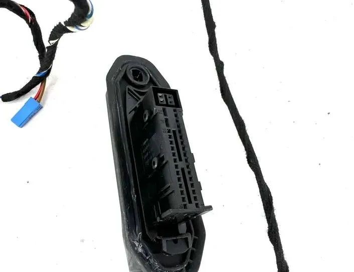 BMW X5 E70 (2006-2013) Priekšējo kreiso durvju elektroinstalācija 9116976,7184659 24660314