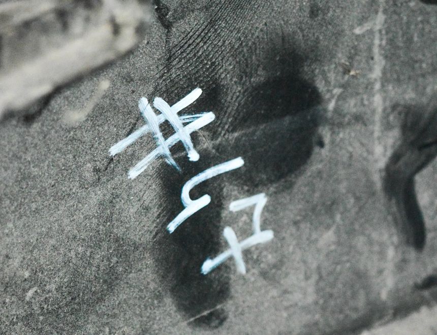 AUDI A4 B9/8W (2015-2024) Front Right Grill 8W0807682R 15064458