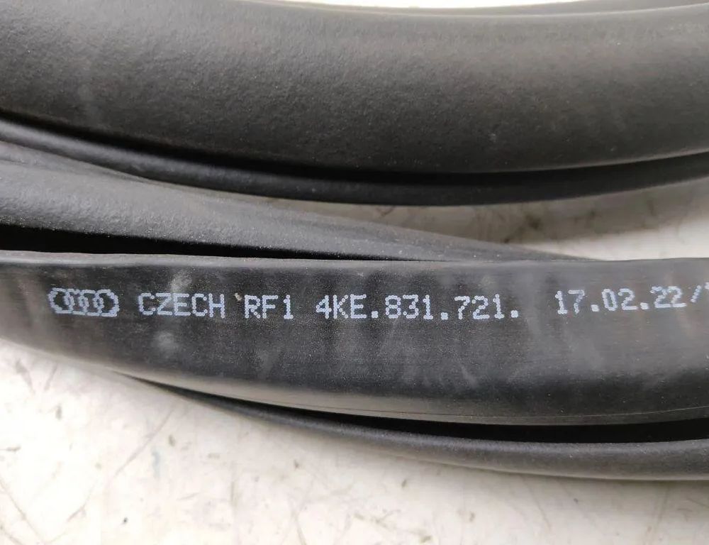 AUDI e-tron 1 generation (2018-2024) Front Right Door Seal Rubber 4KE831721 31926412