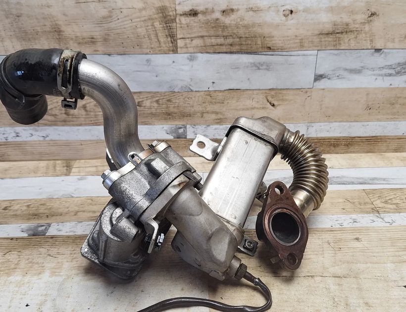 RENAULT Scenic 3 generation (2009-2015) EGR vārsts H8201068965,147100789R,VN1501000101 29857665