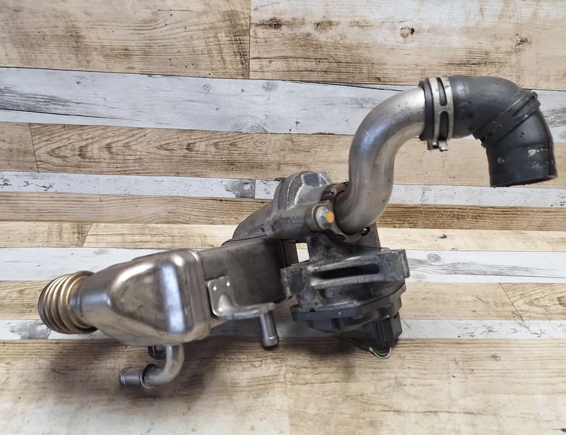 RENAULT Scenic 3 generation (2009-2015) EGR vārsts H8201068965,147100789R,VN1501000101 29857665