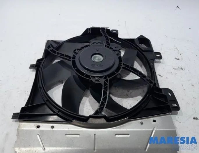 CITROËN DS3 1 generation (2010-2015) Citau veidu vadības bloki |9829774580|Citroën|| 26994278