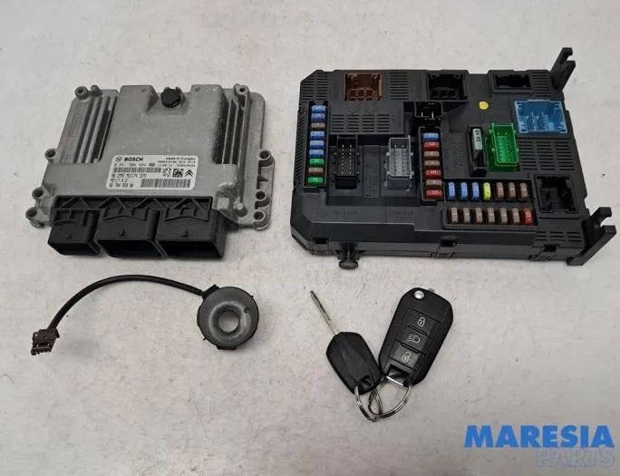 PEUGEOT 2008 1 generation (2013-2020) Блок управления двигателем 9666319180,0261S06494,9678495980,9663123380,9807532080,BSINO300 30763034