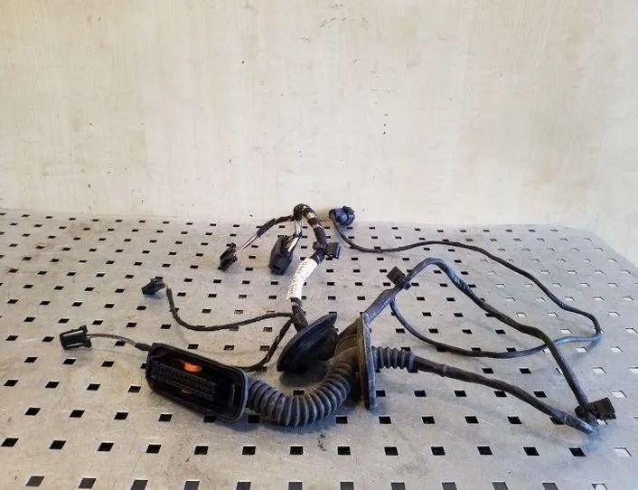 VOLKSWAGEN Tiguan 1 generation (2007-2017) Aizmugurējo labo durvju elektroinstalācija 5N0971694G 26170178