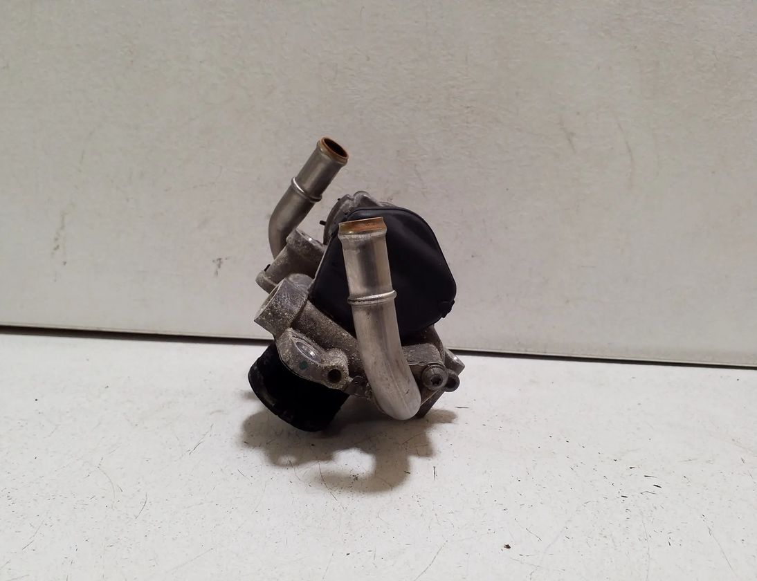 VOLKSWAGEN Passat B8 (2014-2023) EGR vārsts 04L131501RV110,04L131501R 33044220