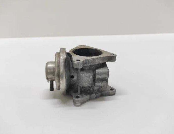 SKODA Octavia 2 generation (2004-2013) EGR Valve 038131501,172800047 22718415