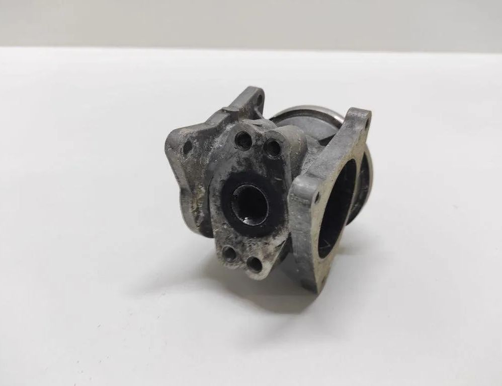 SKODA Octavia 1 generation (1996-2010) EGR Valve 038131501 31491589