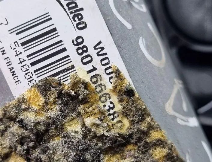 CITROËN C4 Cactus 1 generation (2014-2024) Tailgate  Window Wiper Motor 9801666380 24172130