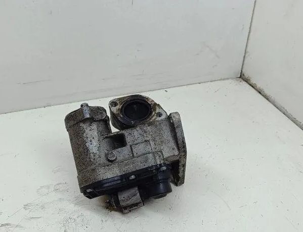 VOLKSWAGEN Passat B8 (2014-2023) EGR vārsts 408265001005Z 31897319