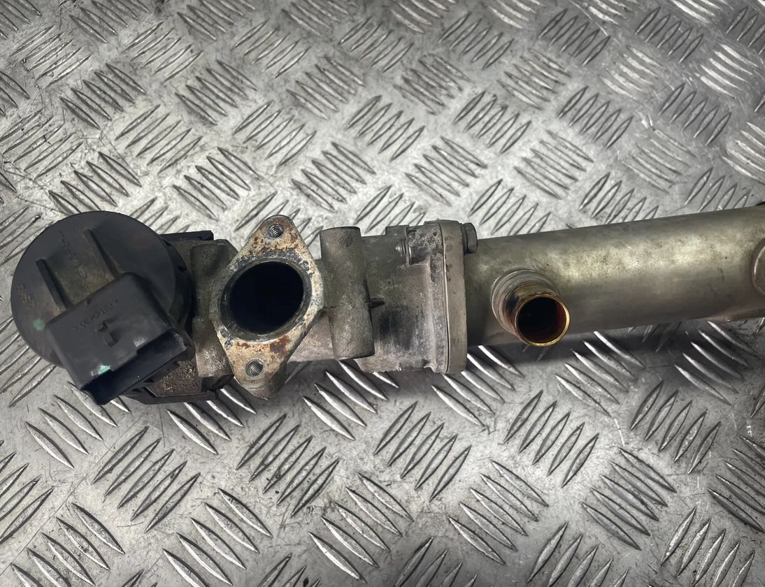 CITROËN C4 1 generation (2004-2011) Охладитель Eгр 875816W 25445921