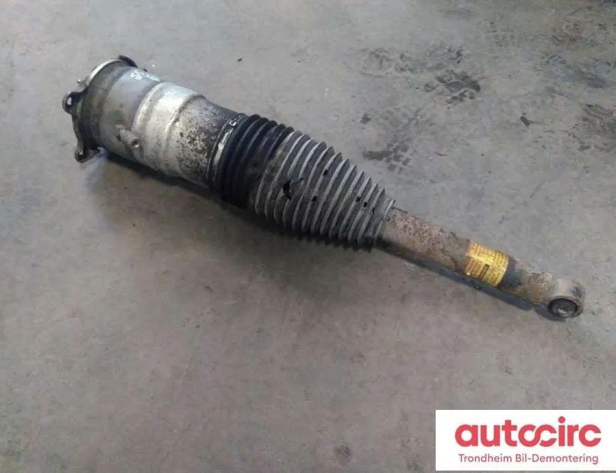 TESLA Model S 1 generation (2012-2024) Пневматическая подушка 6006352-00-c 30850095