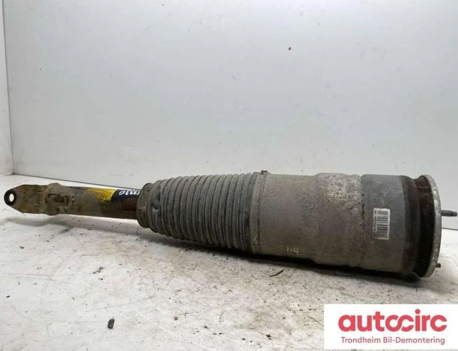 TESLA Model S 1 generation (2012-2024) Air Spring 6006351-00-c,6006351-00-d 32088709