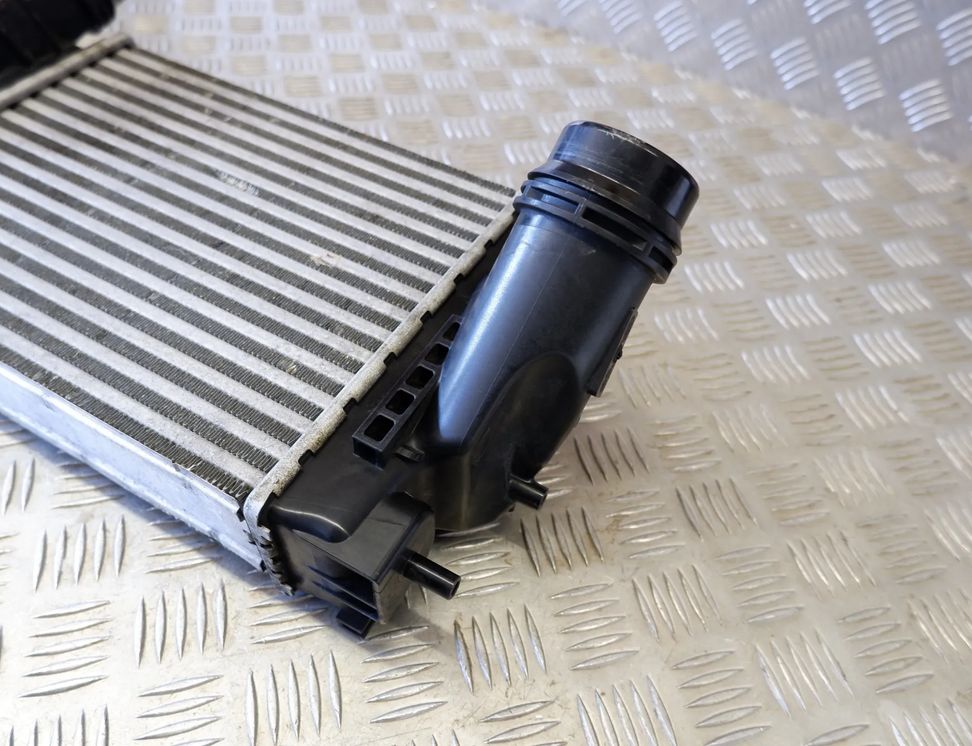 NISSAN Qashqai 2 generation (2013-2023) Intercooler Radiator 14461-4EB0A 31881748