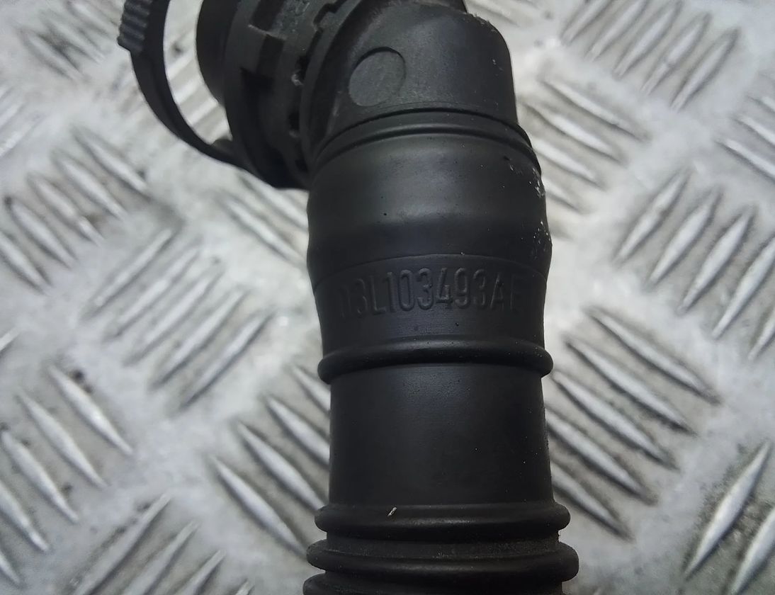 SEAT Alhambra 2 generation (2010-2021) Elpošanas šļūtene 03l103493ae 24509396